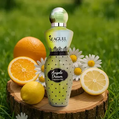 قیمت بادی اسپلش سی گل مدل Angelo Dream حجم 250 میلی لیتر